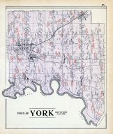 York Town, Livingston County 1902